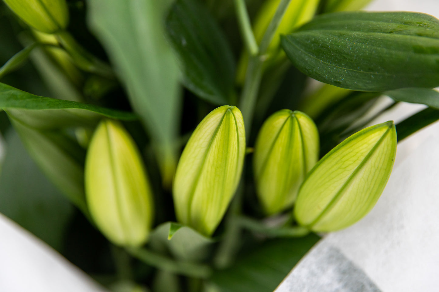 Classic Lilly Bouquet