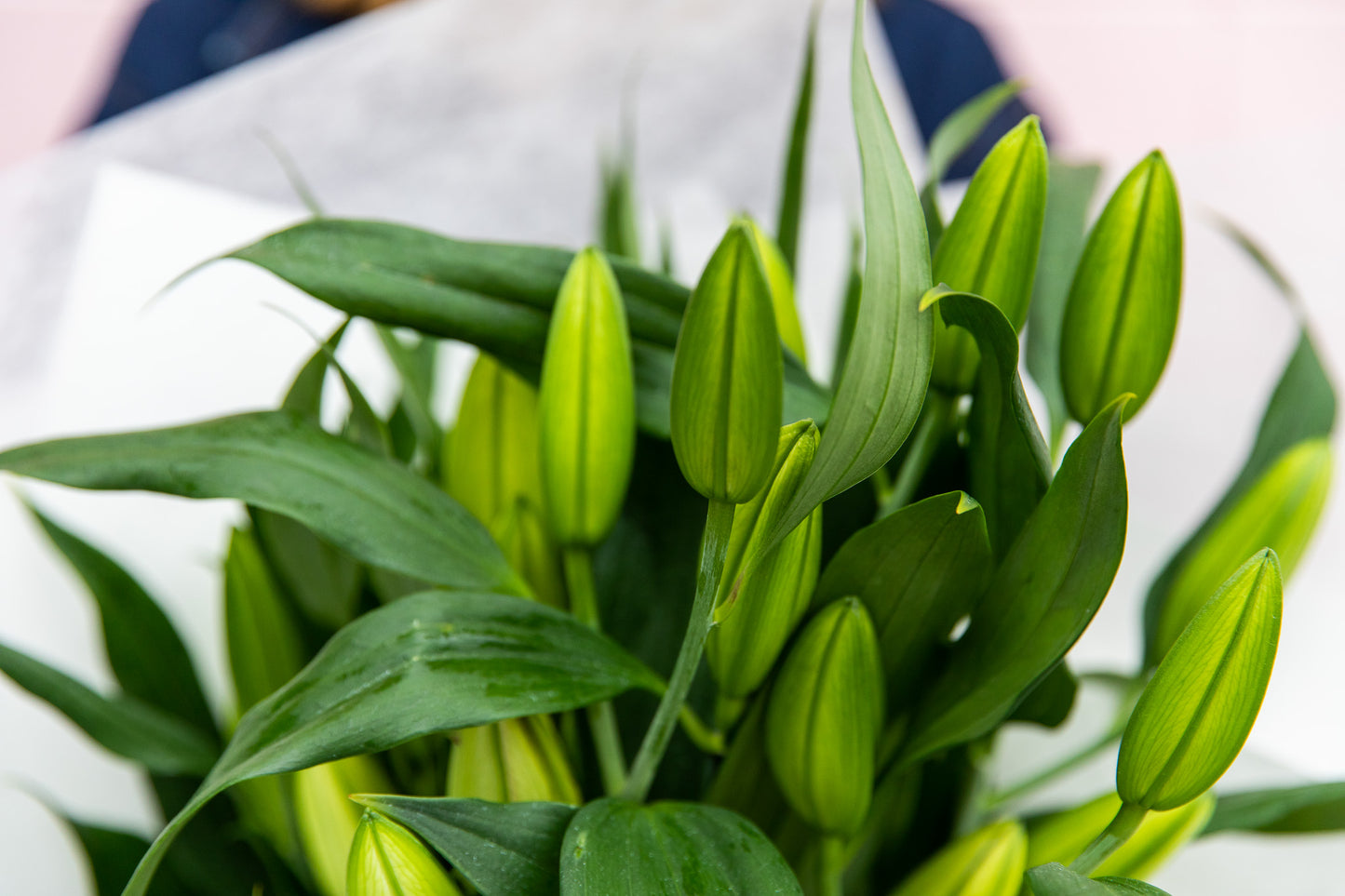 Classic Lilly Bouquet