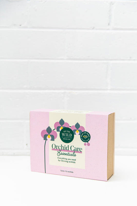 We The Wild Orchid Care